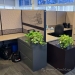 Patterned Two-Tone Teknion Cubicle Systems Divider Wall Panels
